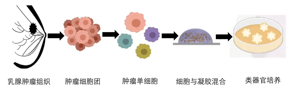 1656654331380538.png image.png