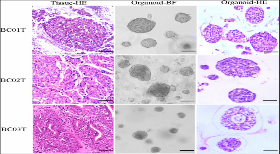 1658905133473237.png image.png