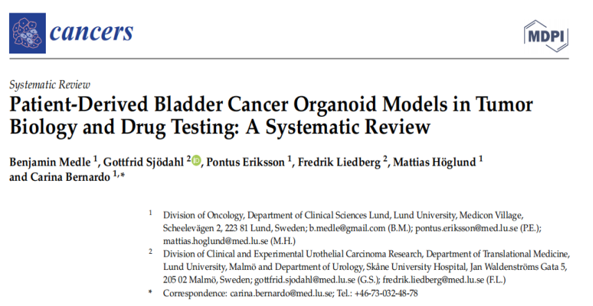 1658905651963005.png image.png