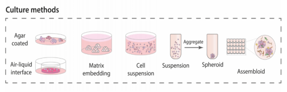 1658905704541069.png image.png