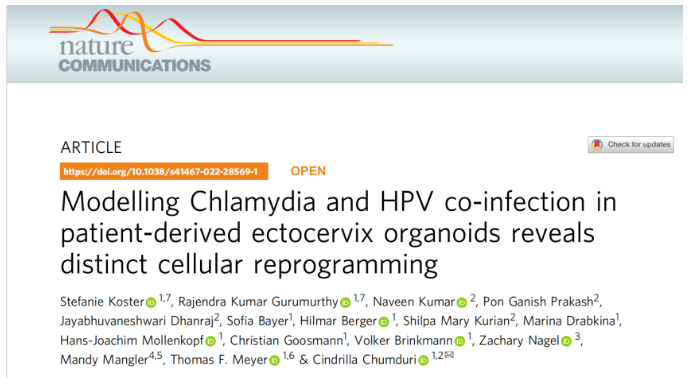 1684129558260763.png image.png