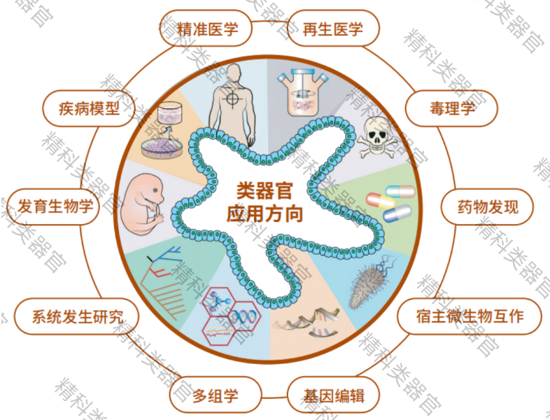 1688975158142868.png image.png